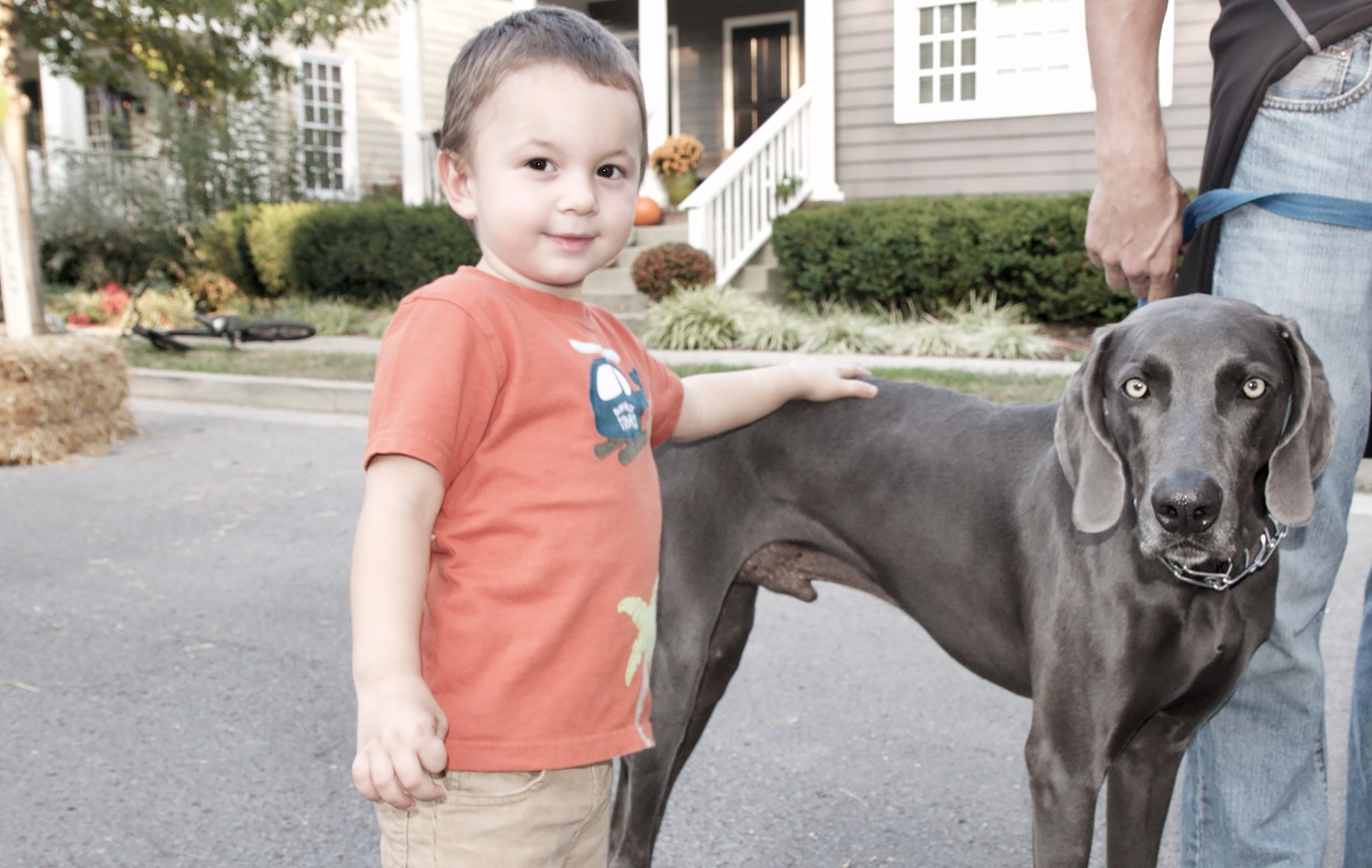 Child with dog