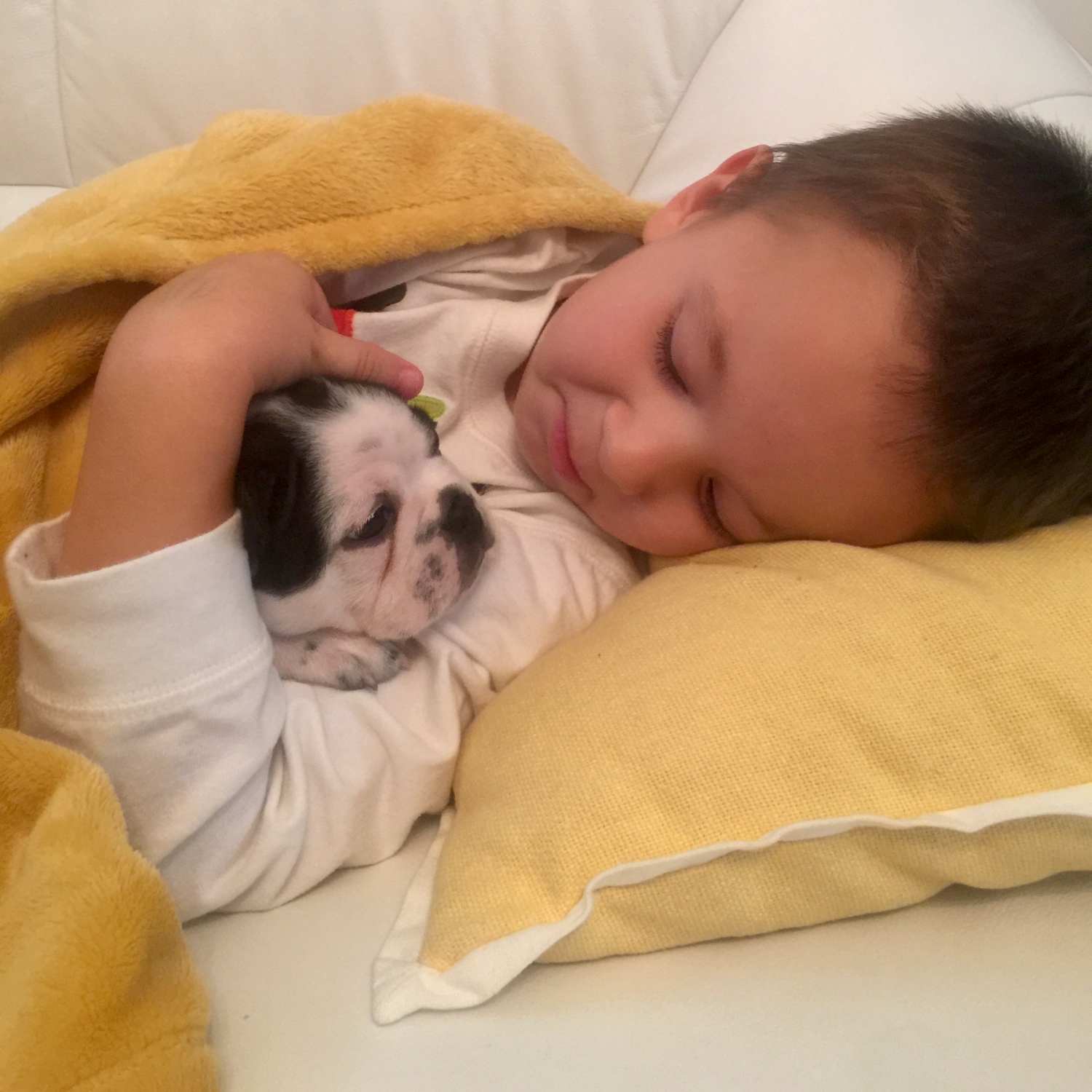 child with puppy